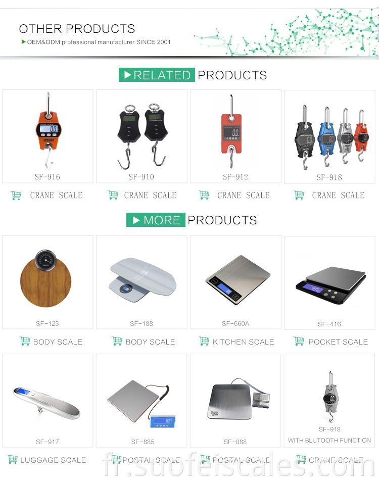 SF-923 Digital Crane Scale 1000kg Electronic OCS Hanging Industrial Scale 500kg 1 tonne Waage Fabricant